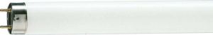 Лампа люминесцентная TL-D 36W/54-765 36Вт T8 6200К G13 PHILIPS 928048505451 Лампа люминесцентная TL-D 36W/54-765 36Вт T8 6200К G13 PHILIPS 928048505451